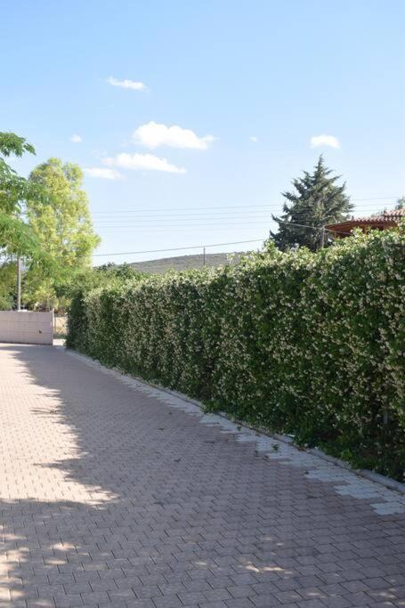 Βίλα Εύη Lygourio Exterior photo