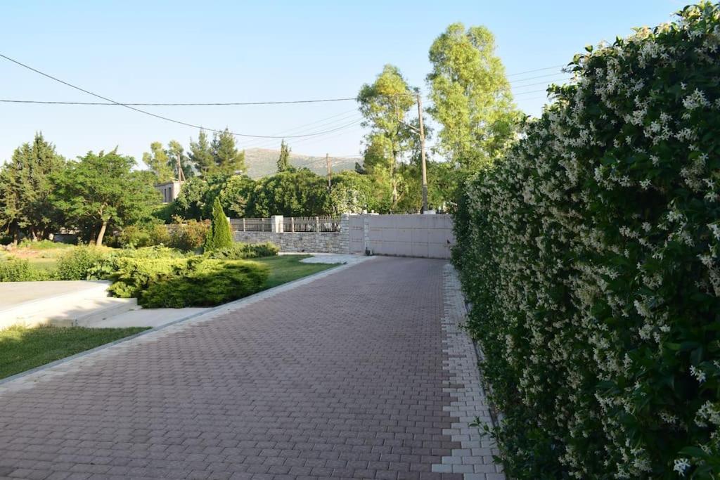 Βίλα Εύη Lygourio Exterior photo